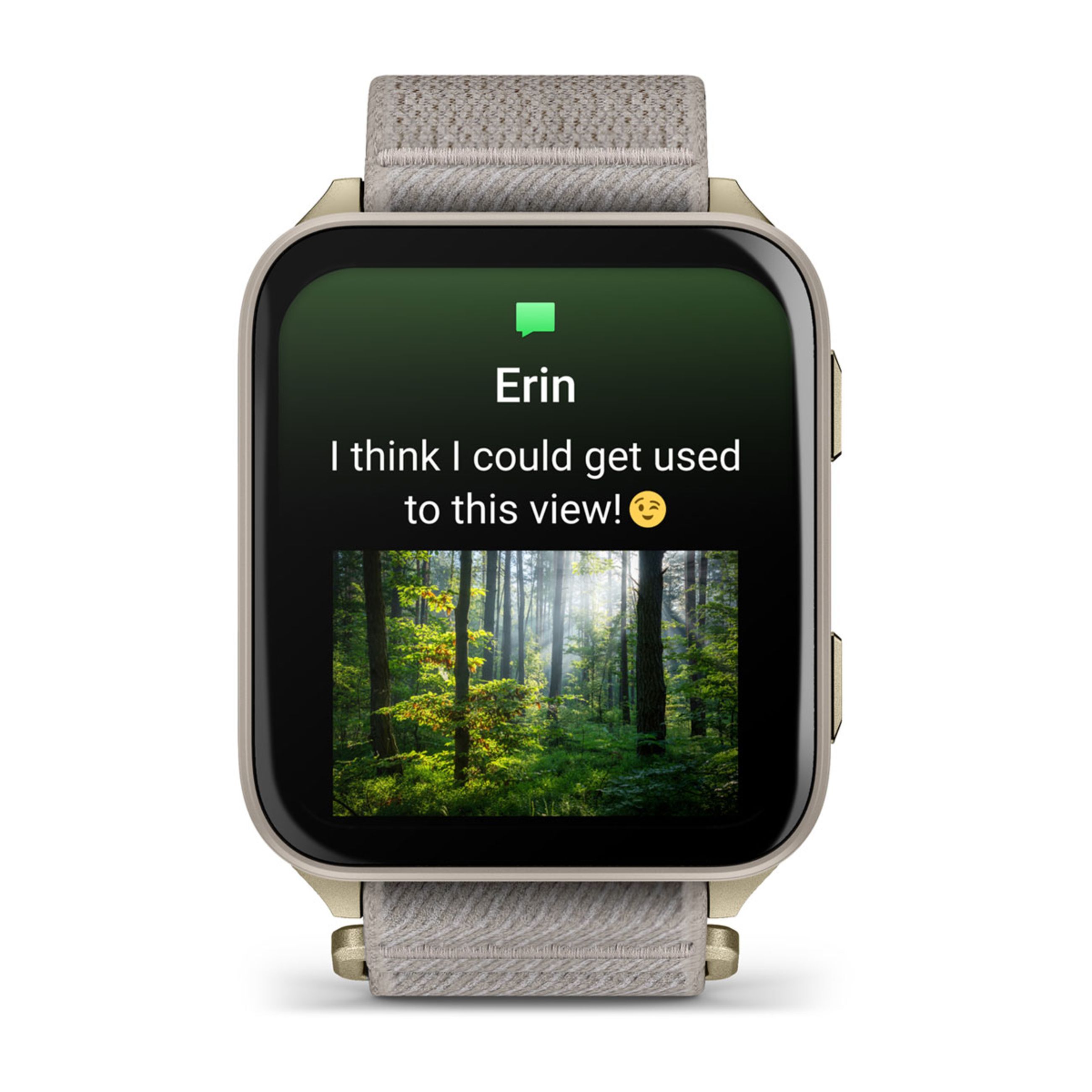 Venu X1 - Soft Gold With Titanium Caseback And French Gray Nylon Band - Image 4